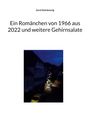 Gerd Steinkoenig: Ein Romänchen von 1966 aus 2022 und weitere Gehirnsalate, Buch