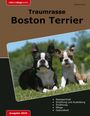 Madeline Fuchs: Traumrasse Boston Terrier, Buch