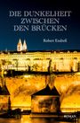 Robert Endreß: Die Dunkelheit zwischen den Brücken, Buch