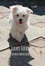 RaffiP: Lucky Tucky, Buch