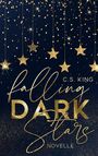 C. S. King: falling dark stars, Buch