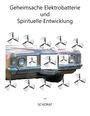 Wolfgang Schorat: Geheimsache Elektrobatterie und Spirituelle Entwicklung, Buch