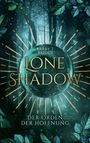 Barry T. Bridge: Lone Shadow, Buch