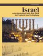 Friedrich Förster: Israel seine Bedeutung mit Blick in Prophetie und Schöpfung, Buch