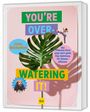 Jonny Balchandani: You're overwatering it!, Buch