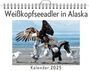 Noah Bauer: Weißkopfseeadler in Alaska, KAL