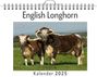 Sophia Herrmann: English Longhorn, KAL