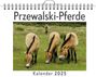 Elias Münch: Przewalski-Pferde, KAL