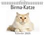 Marie Schröder: Birma-Katze, KAL