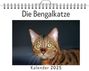 Hannah Meyer: Die Bengalkatze, KAL