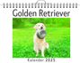 David Scholz: Golden Retriever, KAL