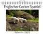 Sofia Weber: Englischer Cocker Spaniel, KAL