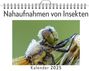 Paul Wolf: Nahaufnahmen von Insekten, KAL