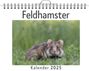 Ella Frank: Feldhamster, KAL