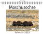 Aaron Wolf: Moschusochse, KAL