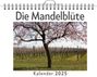 Olivia Werner: Die Mandelblüte, KAL