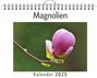 Mia Hoffmann: Magnolien, KAL