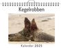 Emily König: Kegelrobben - (Wandkalender 2025, Kalender DIN A4 quer, Monatskalender im Querformat mit Kalendarium, das perfekte Geschenk), KAL