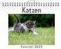 Olivia Münch: Katzen - (Wandkalender 2025, Kalender DIN A4 quer, Monatskalender im Querformat mit Kalendarium, das perfekte Geschenk), KAL