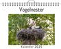 Luca Krause: Vogelnester - (Wandkalender 2025, Kalender DIN A4 quer, Monatskalender im Querformat mit Kalendarium, das perfekte Geschenk), KAL