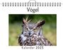 Leah Schwarz: Vögel - (Wandkalender 2025, Kalender DIN A4 quer, Monatskalender im Querformat mit Kalendarium, das perfekte Geschenk), KAL