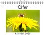 Matteo Schmitz: Käfer - (Wandkalender 2025, Kalender DIN A4 quer, Monatskalender im Querformat mit Kalendarium, das perfekte Geschenk), KAL