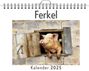 Sofia Münch: Ferkel - (Wandkalender 2025, Kalender DIN A4 quer, Monatskalender im Querformat mit Kalendarium, das perfekte Geschenk), KAL