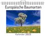 Hannah Meier: Europäische Baumarten - (Wandkalender 2025, Kalender DIN A4 quer, Monatskalender im Querformat mit Kalendarium, das perfekte Geschenk), KAL