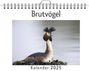 Olivia Lange: Brutvögel - (Wandkalender 2025, Kalender DIN A4 quer, Monatskalender im Querformat mit Kalendarium, das perfekte Geschenk), KAL