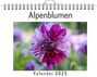 Matteo Möller: Alpenblumen - (Wandkalender 2025, Kalender DIN A4 quer, Monatskalender im Querformat mit Kalendarium, das perfekte Geschenk), KAL