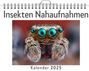 Zoe Weber: Insekten Nahaufnahmen - (Wandkalender 2025, Kalender DIN A4 quer, Monatskalender im Querformat mit Kalendarium, das perfekte Geschenk), KAL