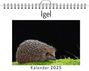 Emily Herrmann: Igel - (Wandkalender 2025, Kalender DIN A4 quer, Monatskalender im Querformat mit Kalendarium, das perfekte Geschenk), KAL