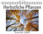 Ben Maier: Herbstliche Pflanzen, KAL