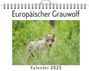 Sofia Fuchs: Europäischer Grauwolf, KAL