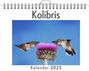 Lena Meier: Kolibris, KAL