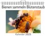 Samuel Krüger: Bienen sammeln Blütenstaub, KAL