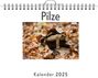 Lina Weber: Pilze, KAL