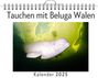 Anton Krause: Tauchen mit Beluga Walen, KAL