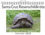 Leon Maier: Santa Cruz Riesenschildkröte, KAL