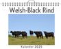 Theo Braun: Welsh-Black Rind, KAL