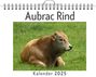 Charlotte Müller: Aubrac Rind, KAL