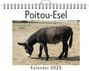 Alexander Schmitz: Poitou-Esel, KAL