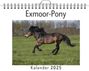 Louis Huber: Exmoor-Pony, KAL