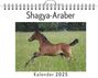 Finn Meier: Shagya-Araber, KAL