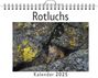 Paul Hofmann: Rotluchs, KAL