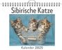 Clara Hoffmann: Sibirische Katze, KAL