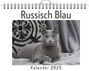 Elias Neumann: Russisch Blau, KAL