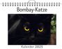 Elias Herrmann: Bombay-Katze, KAL