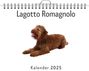 Oliver Neumann: Lagotto Romagnolo, KAL