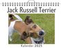 Emma Schmidt: Jack Russell Terrier, KAL